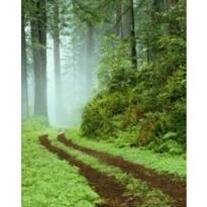 Louis "Jack" Palmatary