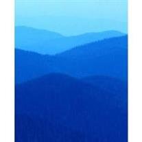 Virginia B. Satchell