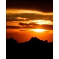 Dr. H. William Friedel