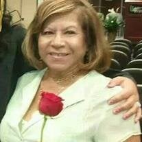 Nancy L Calderon