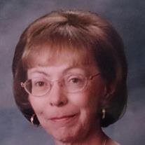 Janet  Faye Singer