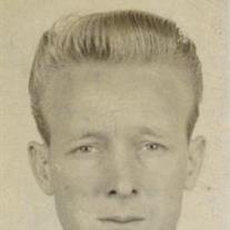 Leo Louis Teer