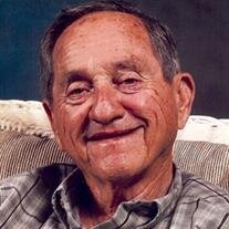 Nelson David Harpine