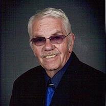 Steve  Bassett