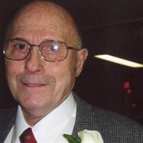 Mr. Alan P.  Miedema