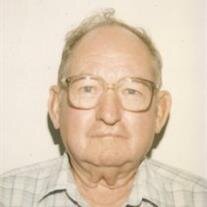 Warren L Story