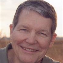 David A. Palmer