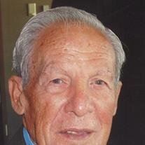 Ralph J. Amato