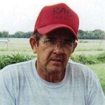 Norman L. Fallen