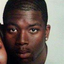Mr. Lamont Andre Jenkins Jr.