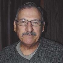 Mr. David Pecarich