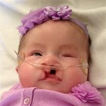 Adalyn Grace  Brown