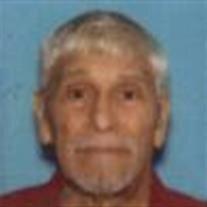 Ralph T.  Camarillo  Jr. 
