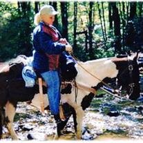 Vicky A. Johnson