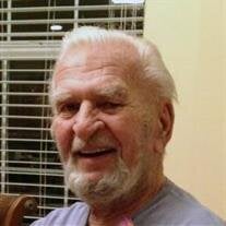 Robert W Riedel