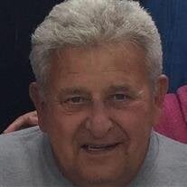 Mr. Steven P. Handzel