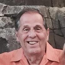 Mario A.  Gottuso
