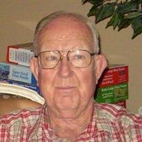 Mr. James L.  Lindsey