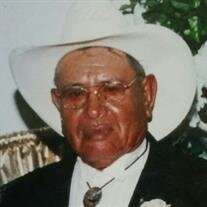 Andres  Palomo