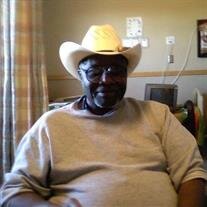 Mr Richard W Wyatt