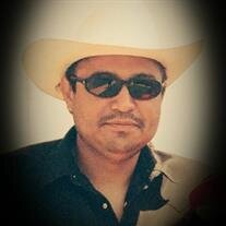 Jose Loya