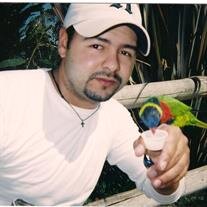 Roy Bautista Ortiz