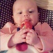 Layla Isabella Cole Sorrentino