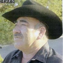 Abel Ochoa - Perez