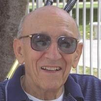 Mr. Peter L. Soldato