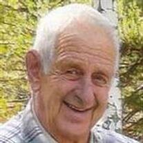 David L. Case