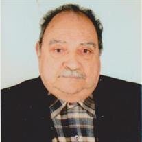 Monier Michael