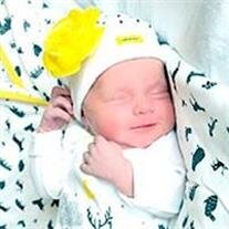 Colette Anna Belle Deley