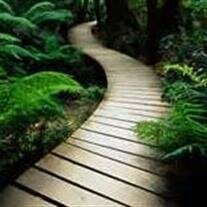 Mr. Horace Francis Culpepper