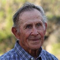 Albert Joe Surovik