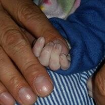 Adam Joseph Ledford