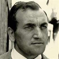 Mr. Mario Faraoni