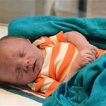 Talon Grey Kuykendall