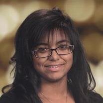 Danielle N. Torrez
