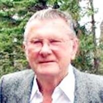 Earl M Radziej