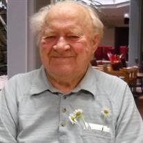 Mr. Janis John Krievins