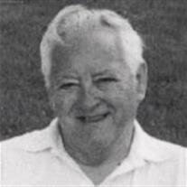 Mr. Donald A. McIntyre