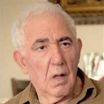 Dimitrios Aravantinos