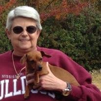 Terri Whitworth Bailey