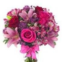 Vera Elaine Claypoole