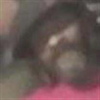 Mr. Leroy Jefferson, Jr.