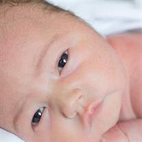Evelyn Michelle Hager