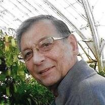 Mr. Robert D.  Fox, Sr.