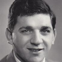 Louis Michael Carpino, Jr.