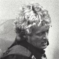 David P. Stout