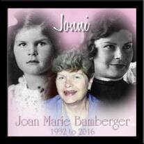 Joan M. Bamberger 